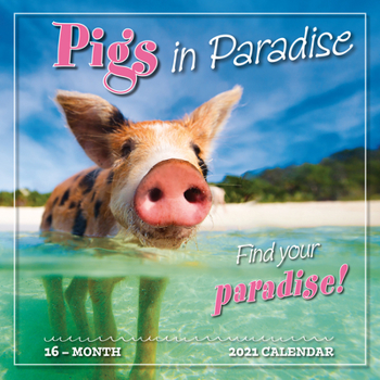 Calendar 2021 Pigs in Paradise 16-Month Wall Calendar Book