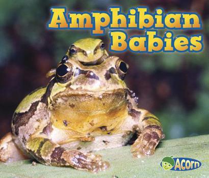 Paperback Amphibian Babies Book
