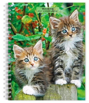 Kittens 2027 6 X 7.75 Inch Spiral-Bound Wire-O Weekly Engagement Planner Calendar New Full-Color Image Every Week
