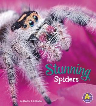 Stunning Spiders - Book  of the Bugs Are Beautiful!