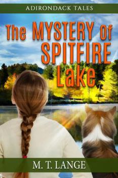 Paperback Adirondack Tales The Mystery of Spitfire Lake Book
