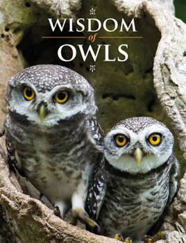 Hardcover Wisdom of Owls Book