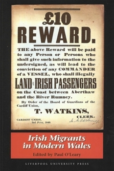 Paperback Irish Migrants in Modern Wales Book