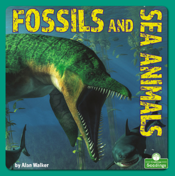 Paperback Fossils and Sea Animals Book
