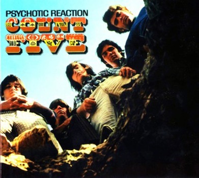 Vinyl Psychotic Reaction (LP) Book