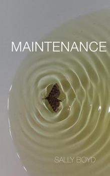 Paperback Maintenance Book