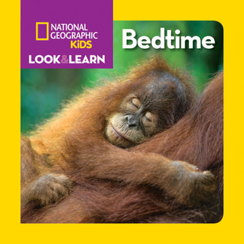 Board book Look & Learn: Bedtime Book