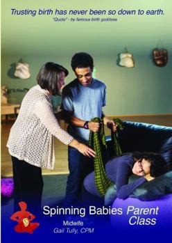 DVD Spinning Babies Parent Class Book