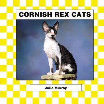Cornish Rex Cats (Cats Set III) - Book  of the Cats
