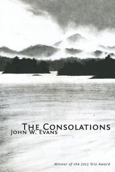 Paperback The Consolations Book