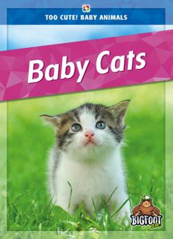 Library Binding Baby Cats Book