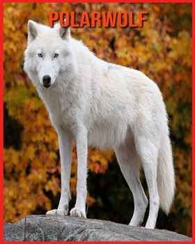Paperback Polarwolf: Lustige Fakten und erstaunliche Fotos von Tieren in der Natur [German] Book