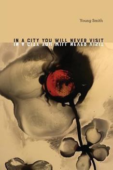 Paperback In a City You Will Never Visit Book