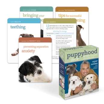 Cards Puppyhood Deck: 50 Tips for Raising the Perfect Dog Book