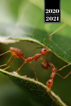 Ant Insect Myrmecology Week Planner Weekly Organizer Calendar 2020 / 2021 - Between the Leaves: Cute Wildlife Animal Pet Bullet Journal Notebook Diary in 6” x 9” Inch Pocket Size
