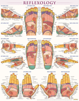 Paperback Reflexology Poster (22 X 28 Inches) - Laminated: A Quickstudy Anatomy Reference Book