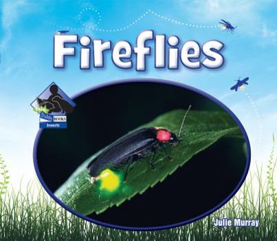 Fireflies - Book  of the Animal Kingdom