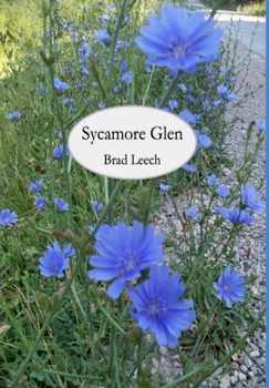 Hardcover Sycamore Glen Book