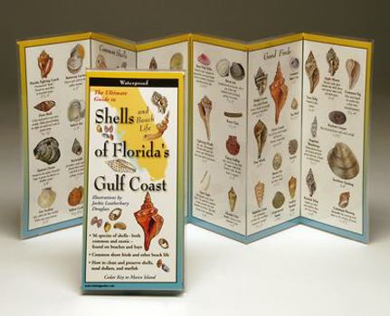 Pamphlet Shells and Beach Life of Florida's Gulf Coast Book
