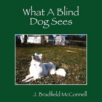 Paperback What A Blind Dog Sees Book