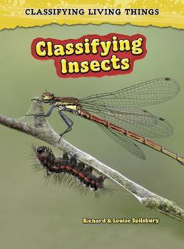 Paperback Classifying Insects (Classifying Living Things) Book