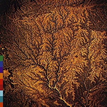 Vinyl Passion:sources Book