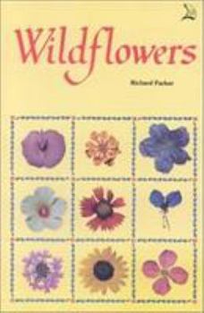 Paperback Wildflowers Book