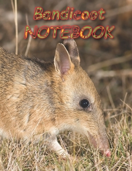Bandicoot NOTEBOOK: notebooks and journals 110 pages (8.5"x11")