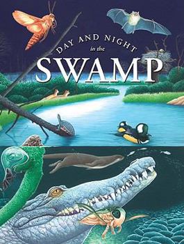 Hardcover Day & Night in the Swamp Book