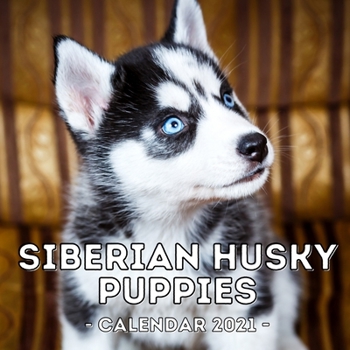 Paperback Siberian Husky Puppies Calendar 2021: 16-Month Calendar, Cute Gift Idea For Siberian Husky Lovers, Women & Men Book