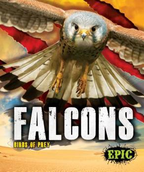 Falcons - Book  of the Birds of Prey