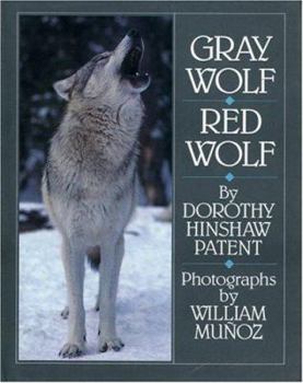 Hardcover Gray Wolf, Red Wolf Book