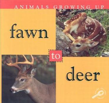 Paperback Fawn to Deer (Animals Growing Up) Book