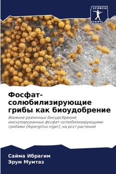 Paperback Фосфат-солюбилизирующи&# [Russian] Book