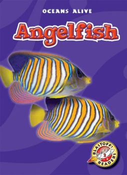 Paperback Angelfish (Paperback) (Blastoff! Readers: Oceans Alive) Book
