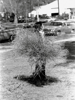 Paperback Gianni Pettena: 1966-2021 Book