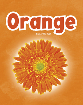 Library Binding Orange Book