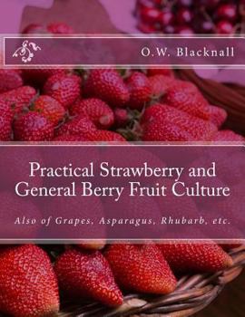 Paperback Practical Strawberry and General Berry Fruit Culture: Also of Grapes, Asparagus, Rhubarb, etc. Book