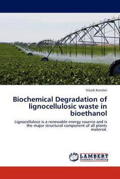 Paperback Biochemical Degradation of Lignocellulosic Waste in Bioethanol Book