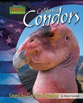 Library Binding California Condors: Saved by Captive Breeding Book