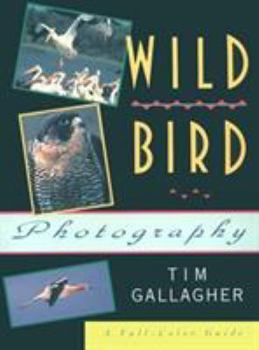 Paperback Wild Bird Photography Book