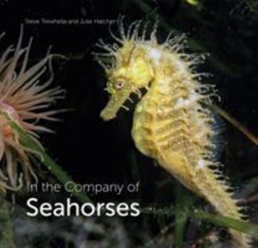 Hardcover In the Company of Seahorses Book