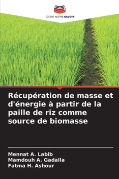 Paperback Récupération de masse et d'énergie à partir de la paille de riz comme source de biomasse [French] Book