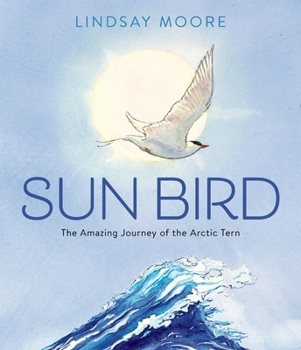 Hardcover Sun Bird: The Amazing Journey of the Arctic Tern Book