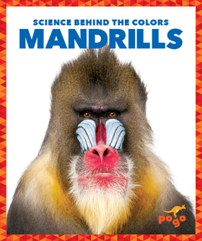 Paperback Mandrills Book