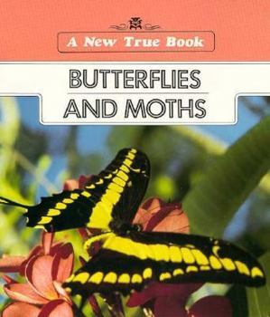 Paperback New True Books: Butterflies and Moths Book