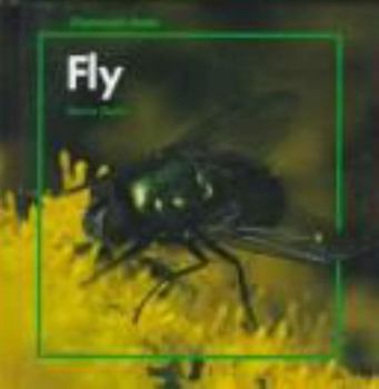 Hardcover Fly Book