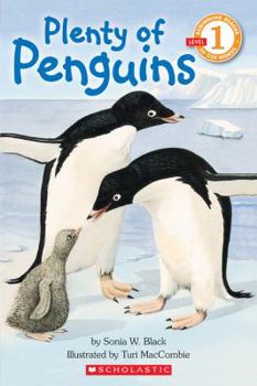 Paperback Scholastic Reader Level 1: Plenty of Penguins Book