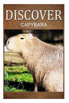 Paperback Capybara - Discover: Early reader's wildlife photography book