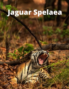 Paperback Jaguar Spelaea Book